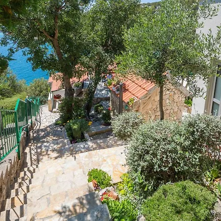 Apartmán Amavi